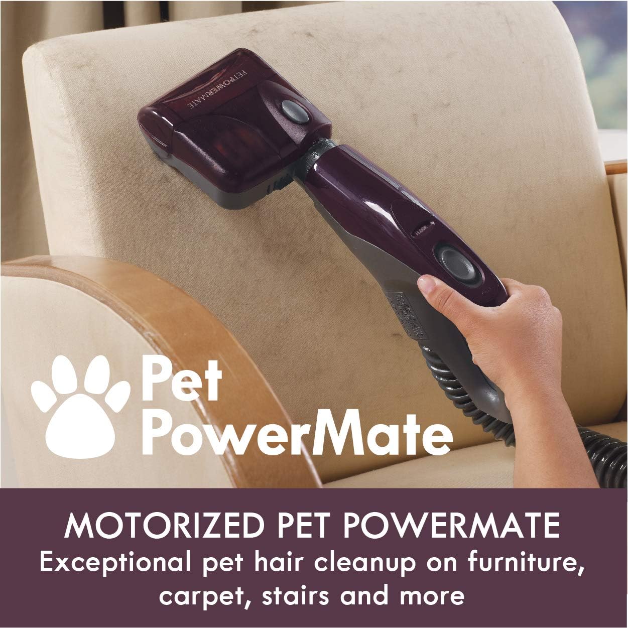 Kenmore Friendly Lightweight Bagless Compact Canister Vacuum with Pet Powermate, HEPA, Extended Telescoping Wand