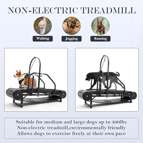 Large Dog Treadmill - Adjustable Indoor Exercise Machine for Medium & Large Breeds, Enhance Pet Health with Safe, Quiet