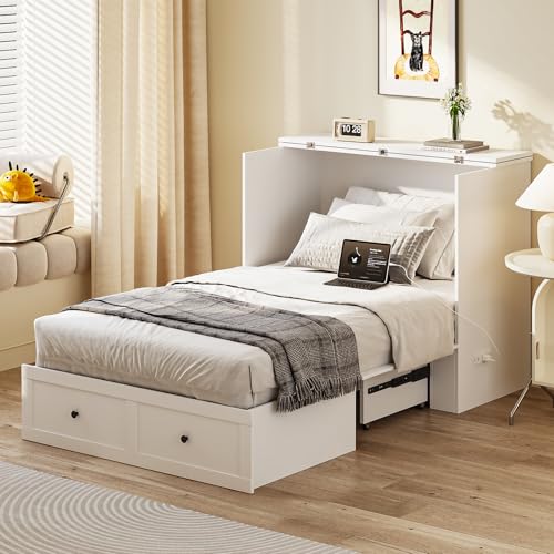Queen Murphy Bed with Storage & Charging Station, Murphy Cabinet with Foldable Panel, Noisy Free, for Guest Bedroom, Living Room, Office