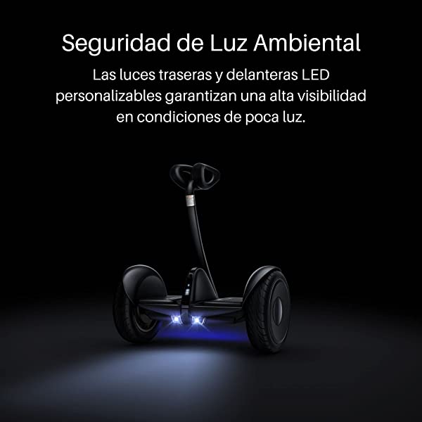 Segway Ninebot S and S-Max Smart Self-Balancing Electric Scooter with LED Light, Powerful and Portable, Compatible with Gokart kit Ninebot S, Black
