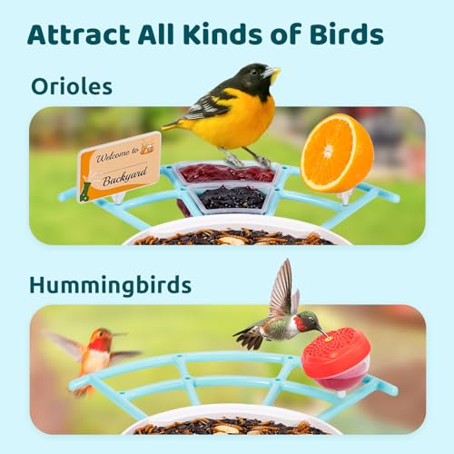 NETVUE Birdfy® Pro Bird Feeder with Camera, Wider Perch DIY Add-ons, Hummingbird Feeder, Suet Ball, Jelly Feeder