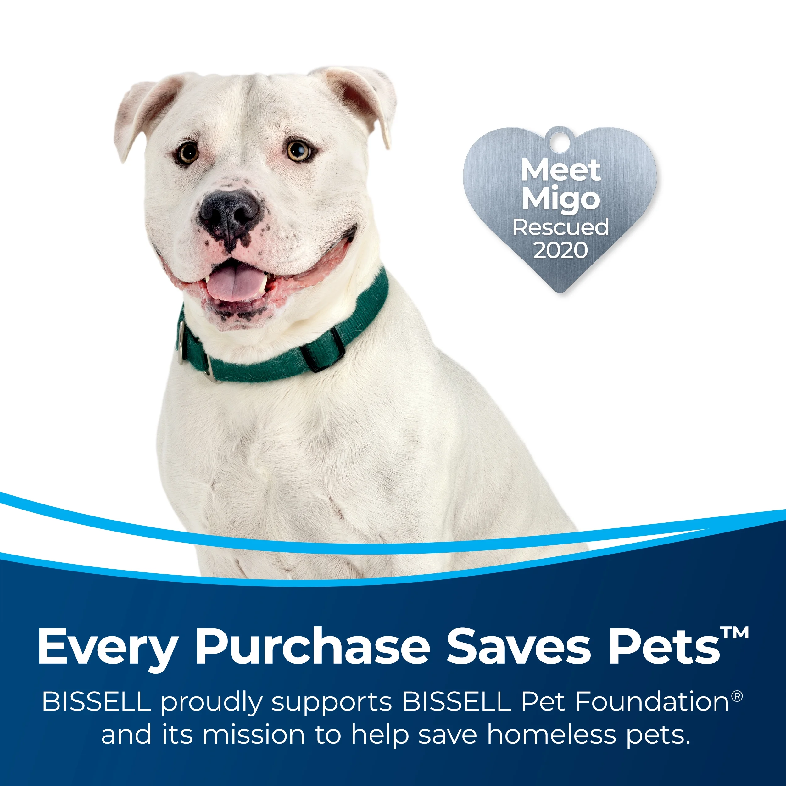 BISSELL PowerLifter Pet Rewind Bagless Upright Vacuum 3404