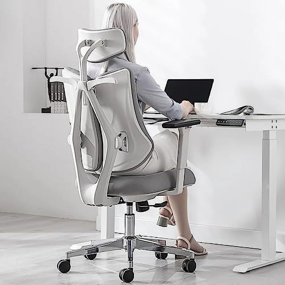Ergonomic Office Chair Dual Backrests  BV Lumbar Support Office Desk Chair Back Support  Breathable mesh Office Chair 3D Adjustable Armrest