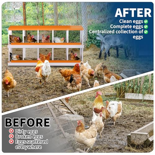 Garvee Chicken Nesting Box with Removable Tray, 8 Compartment Nesting Boxes for Chickens, Easy to Clean and Install
