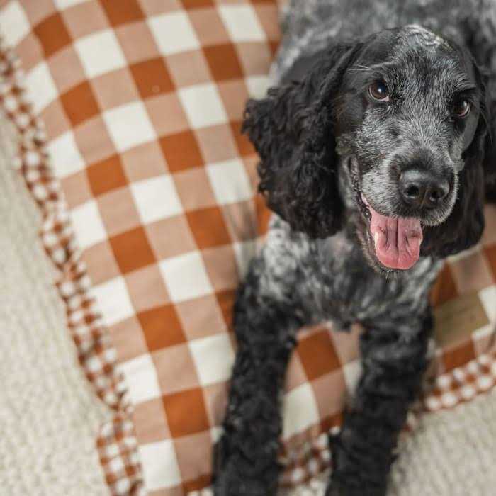 Harry Barker 24 x 5 Brown Gingham Print Envelope Dog Bed - Pet Supplies online store