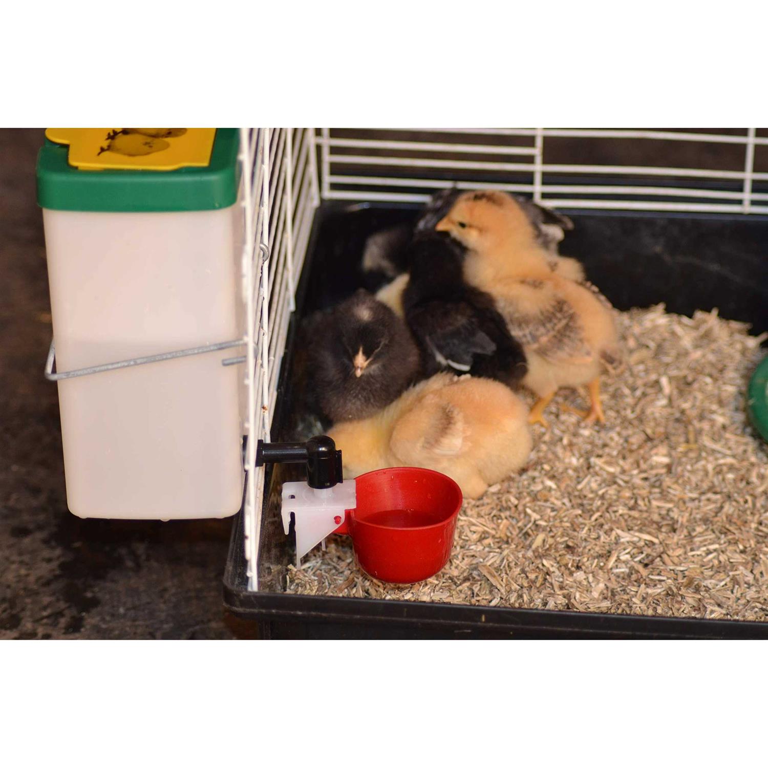 Rentacoop Premium Natural Hemp Bedding E.U. Grown - Pet Supplies online store