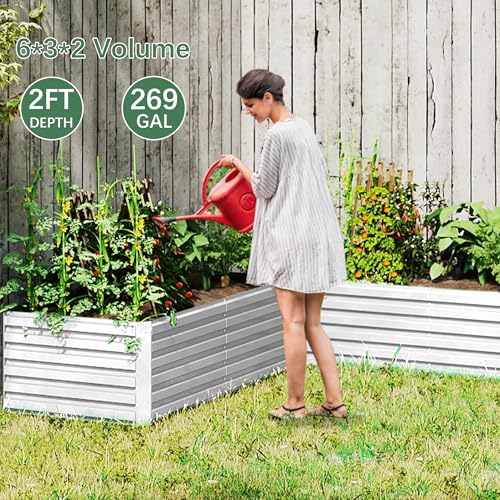 FOOWIN 2pcs 8x4x2ft Galvanized Raised Garden Bed, Planter Raised Garden Boxes Outdoor, Large Metal Raised Beds for Gardening