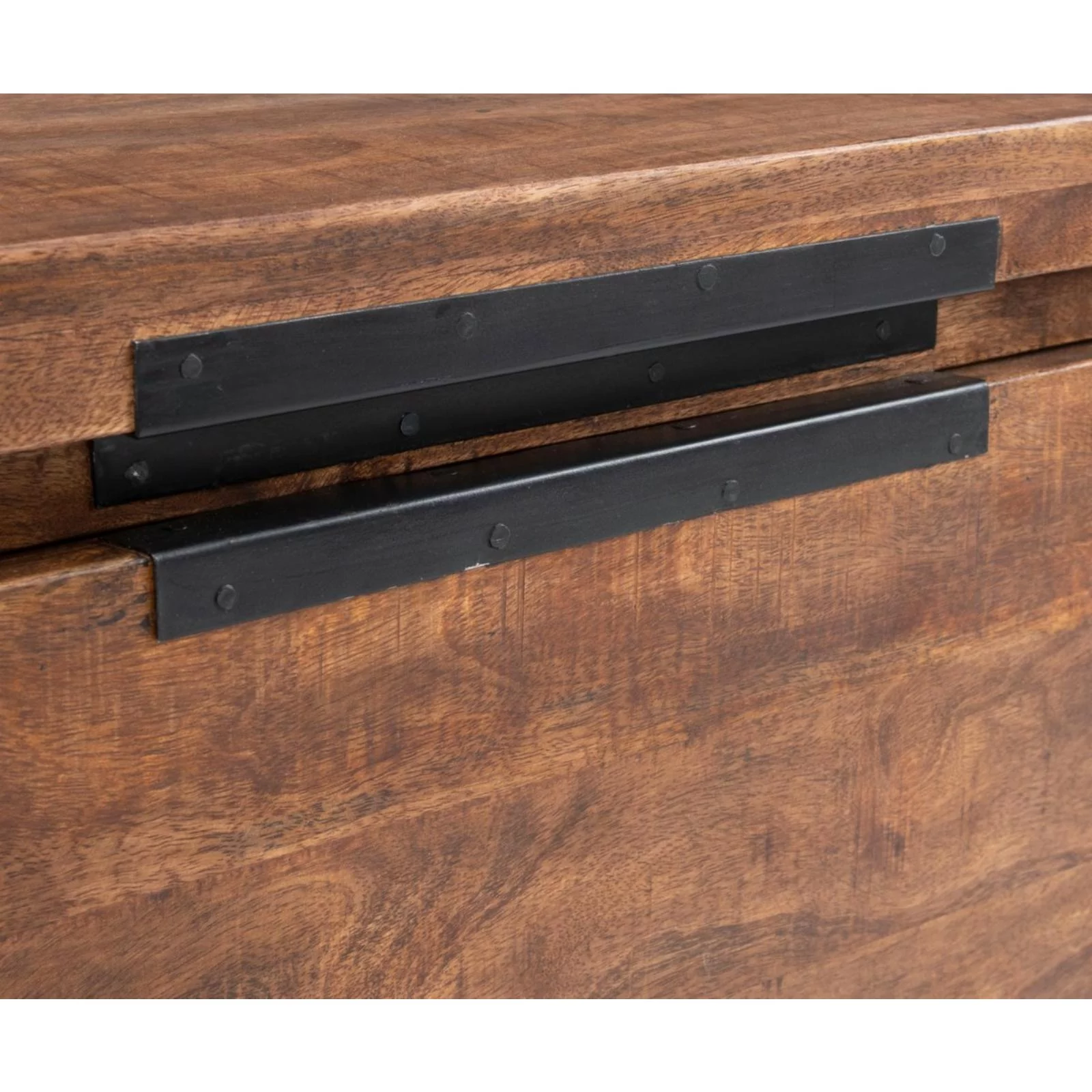 Kosas Home Zoe Storage Trunk