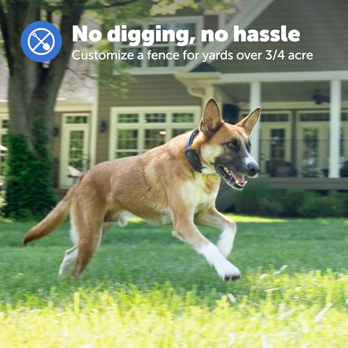 PetSafe Guardian GPS Dog Fence – No Subscription – Create Your Own Wireless Fence for Dogs – for Yards 3/4 Acres or Larger – World's Safest GPS Dog