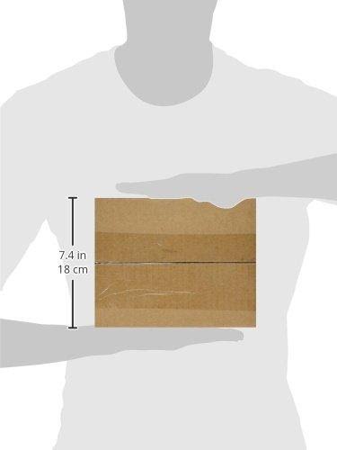 Bulk Nuts Nut USA. Pecan Halves 5-Pound