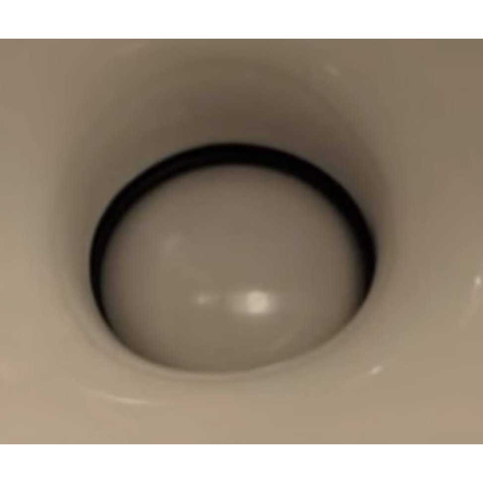 Thetford Aqua Magic Residence High Profile RV Toilet 42169