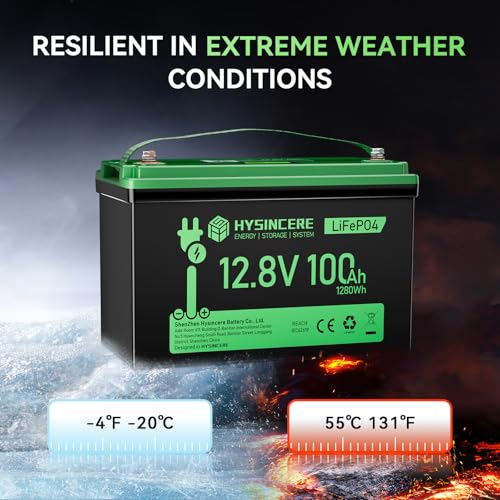 12V 100Ah LiFePO4 Lithium Battery, Mini Deep Cycle Rechargeable LiFePO4 Battery, Max.15000 Cycles Built in 100A BMS for RV, Trolling Motor, Camping