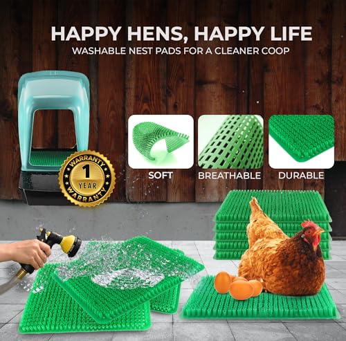 Nesting Boxes for Chicken Coops | Roll Away Hen House for Laying Eggs | Durable Plastic Chick Brooder Box with Perch & Pull Out Egg Tray for Poultry
