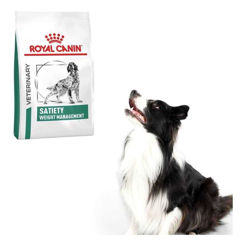 Royal Canin Veterinary Diet Satiety Support Dry Dog Food - Pet Supplies online store