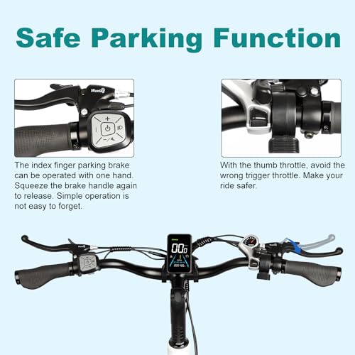 VICTRIP Electric Trike for Adults 100+ Miles Long Range 20" Fat Tire Electric Tricycle 750W 48V 31.5Ah Removable Dual Battery 3 Wheel Electric