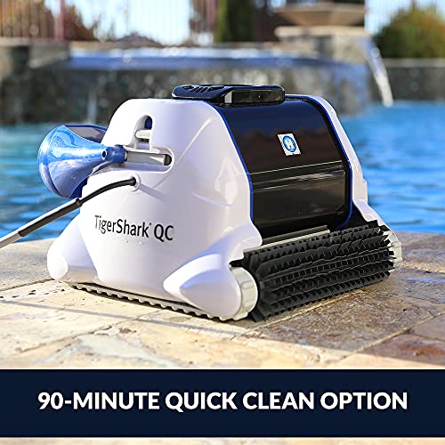 Hayward MaxFlo VS Variable-Speed Pool Pump, Black/Gold