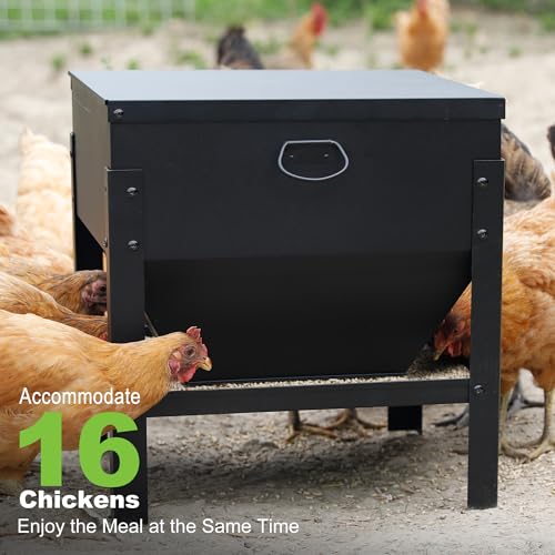 Solution4Patio All Metal Chicken Feeding Box 80 lbs Large Capacity Portable, Waterproof Lid, Hens and Roosters, No Waste Coop Poultry