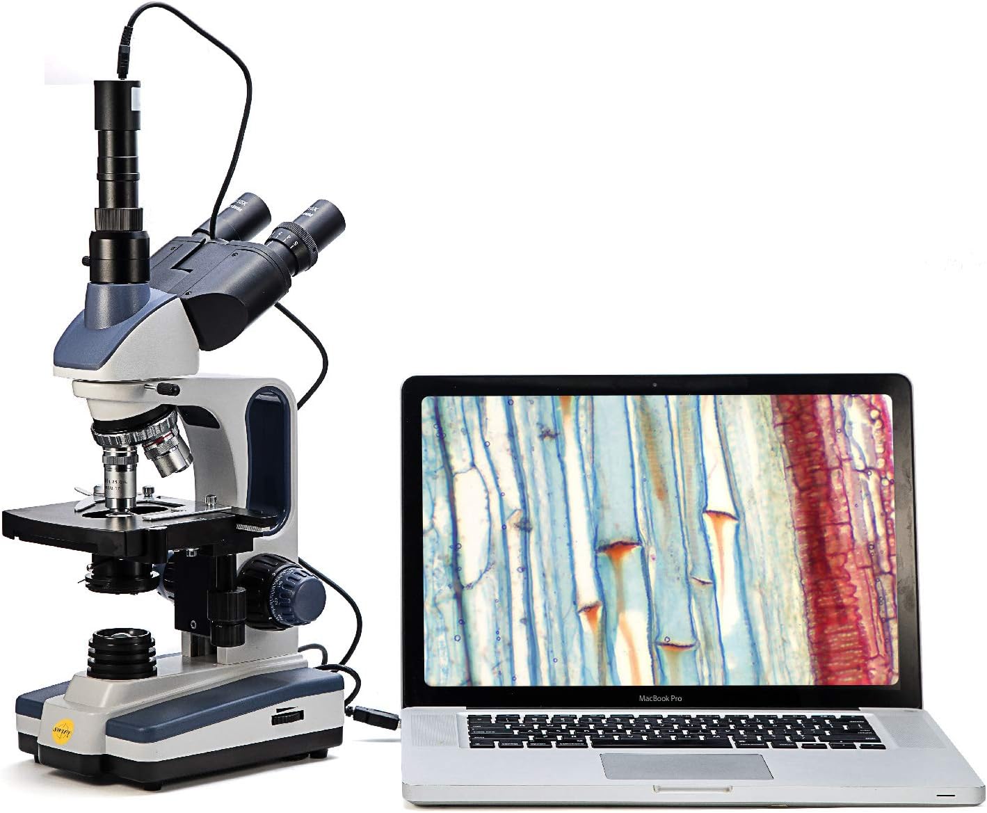 Swift Trinocular Compound Microscope SW350T,40X-2500X Magnification,Siedentopf Head,Research-Grade,Two-Layer Mechanical Stage