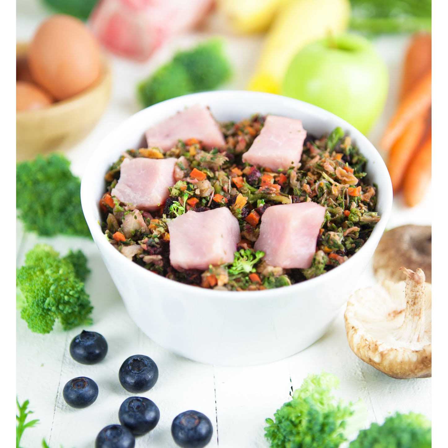 Dr. Harvey's Raw Vibrance Dog Food - Pet Supplies online store