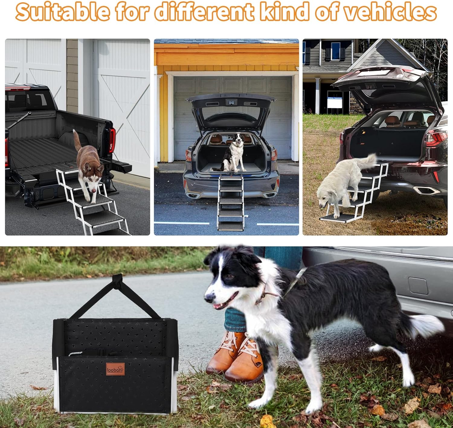 Dog Car Ramp for Large Dogs, LOOBANI Lightweight Dog Stairs Support up to 200lbs, Folding Agility Dog Ramp with Increased Nonslip Surface