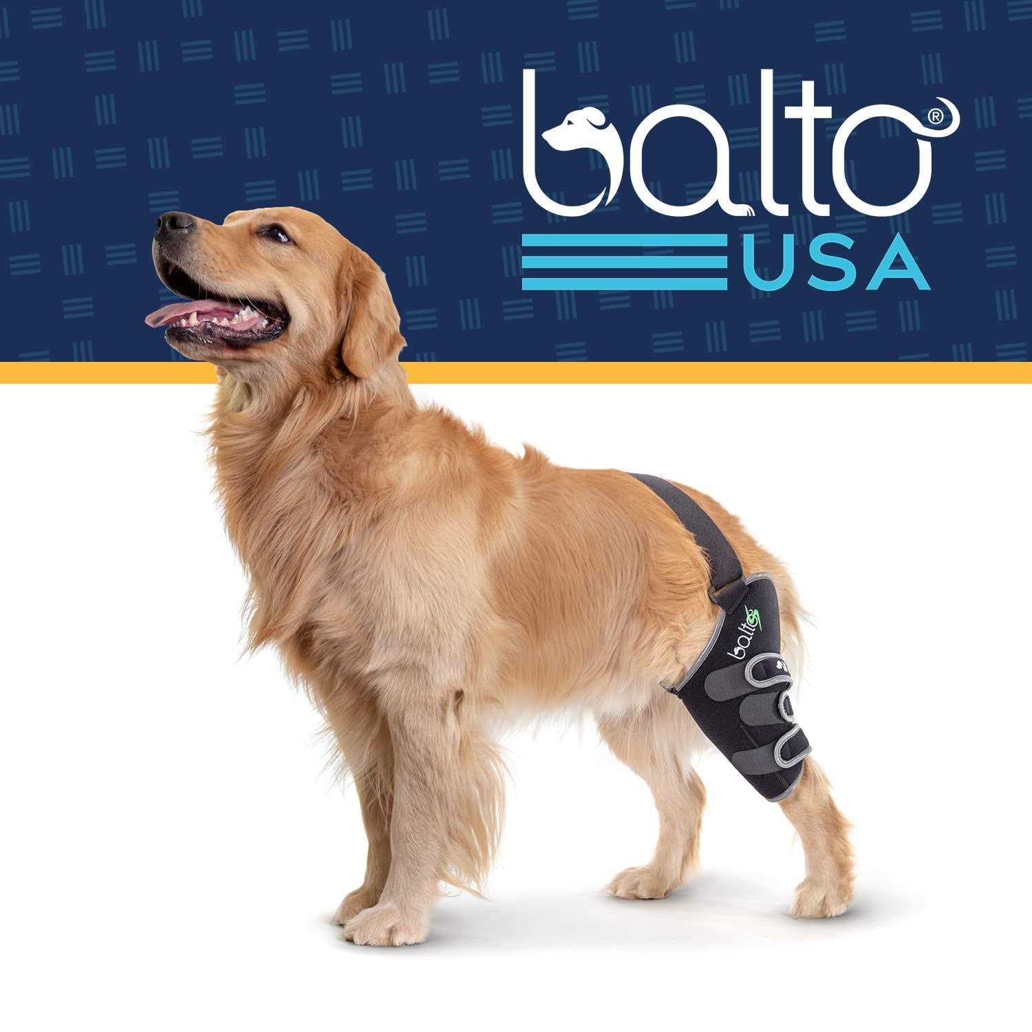 Balto Sport Agile CCL Brace Knee Support for Dogs Soft