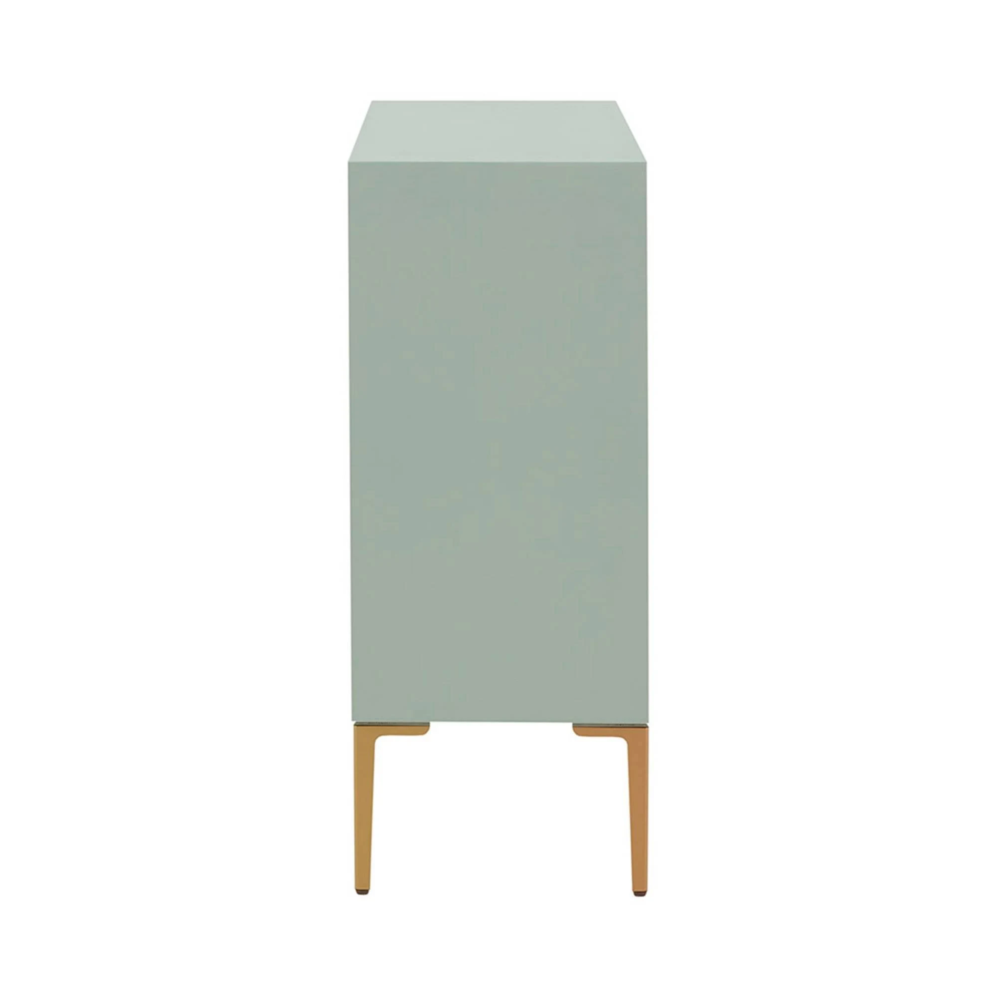 Madison Park Curry 2-Door Accent Cabinet - Mint