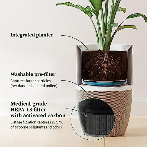 Dupray Bloom™ Air Purifier for Large Rooms with Planter or Custom Accent Table Design | For Home, Bedroom, Office, Dust