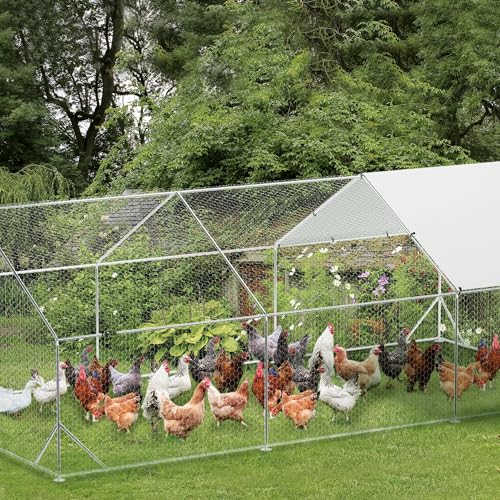 Large Metal Chicken Coop, Walk-in Poultry Cage