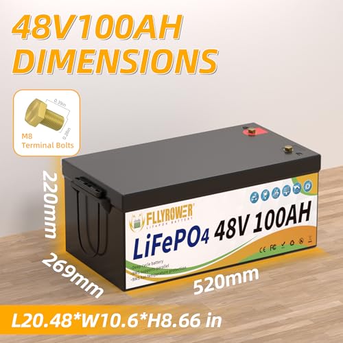 FLLYROWER 12V Lithium Battery 100AH With BMS and 16500 Deep Cycles 12V 100AH Lifepo4 Battery Grade A Cells for Marine Trolling Motor RV camping Solar
