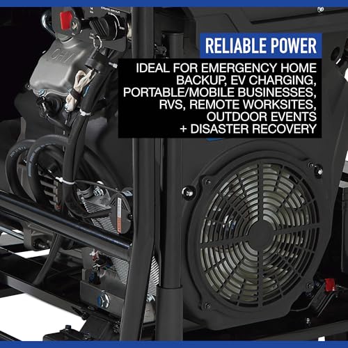 Powerhorse Portable Dual Fuel Generator with Electric Start, 9500 Watts
