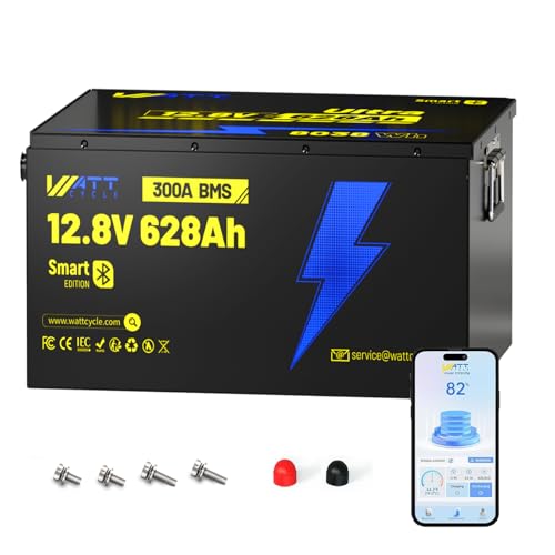 12V 314Ah Mini LiFePO4 Lithium Battery with Bluetooth 5.0, 200A BMS, 4.01kWh Energy, Upgraded Aluminum Cooling Fins & Braided Copper Wires, for RV