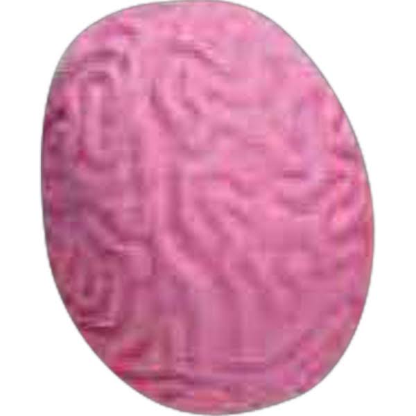 Custom Brain Pencil Top Eraser - Sample Giveaway