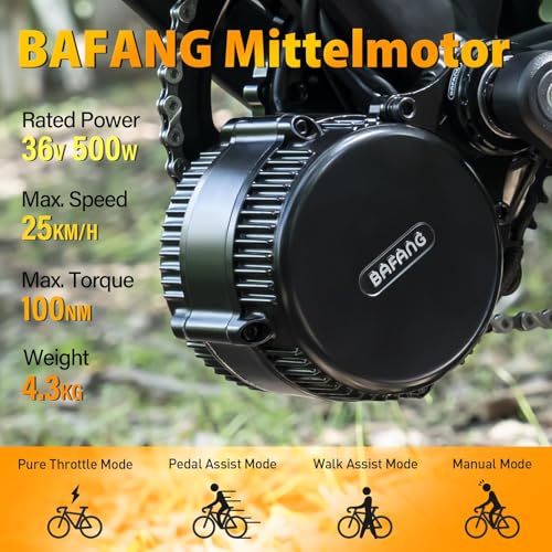 Bafang Electric Bike Conversion Kit Mid Motor BBS-HD 48 V 1000 W Motor Accessories Display Optional Kit Downtube Battery