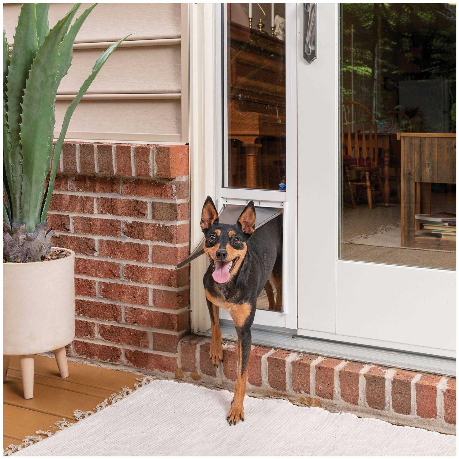 PetSafe Sliding Glass Pet Door - Pet Supplies online store