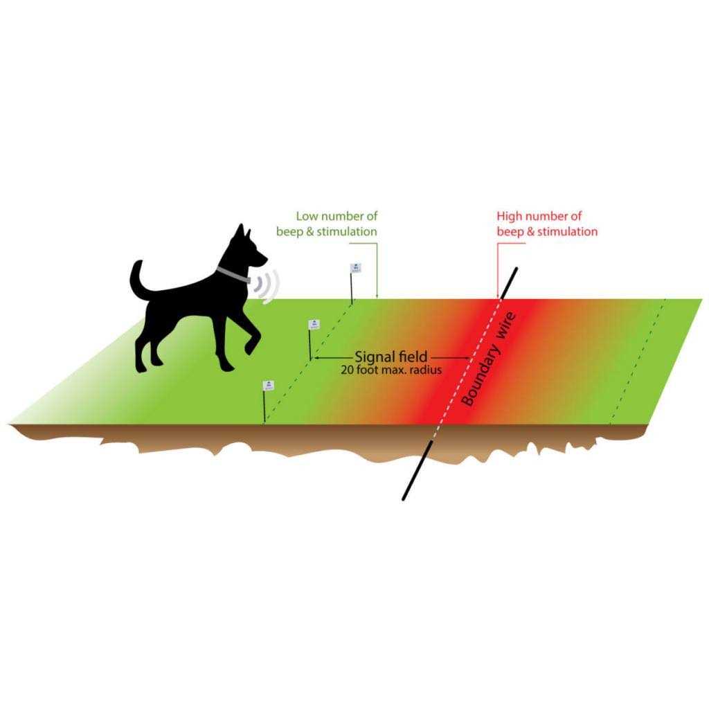 Extreme Dog Fence Pro Grade Electronic Dog Fence system - Pet Supplies online store