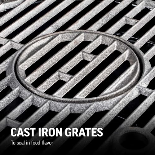 Char-Griller® AKORN® Jr. Portable Kamado Charcoal Grill and Smoker with Cast Iron Grates and Locking Lid with 155 Cooking Square Inches in Ash