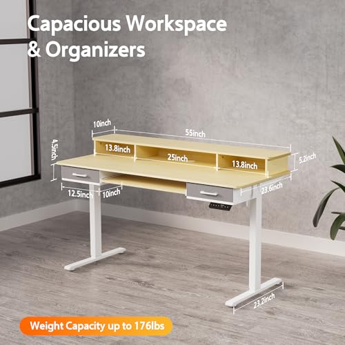 48x24 Inches Electric Standing Desk with 2 Drawers, Height Adjustable Stand up Desk for Home Office, Ergonomic Sit to Stand Table with Storage Shelf