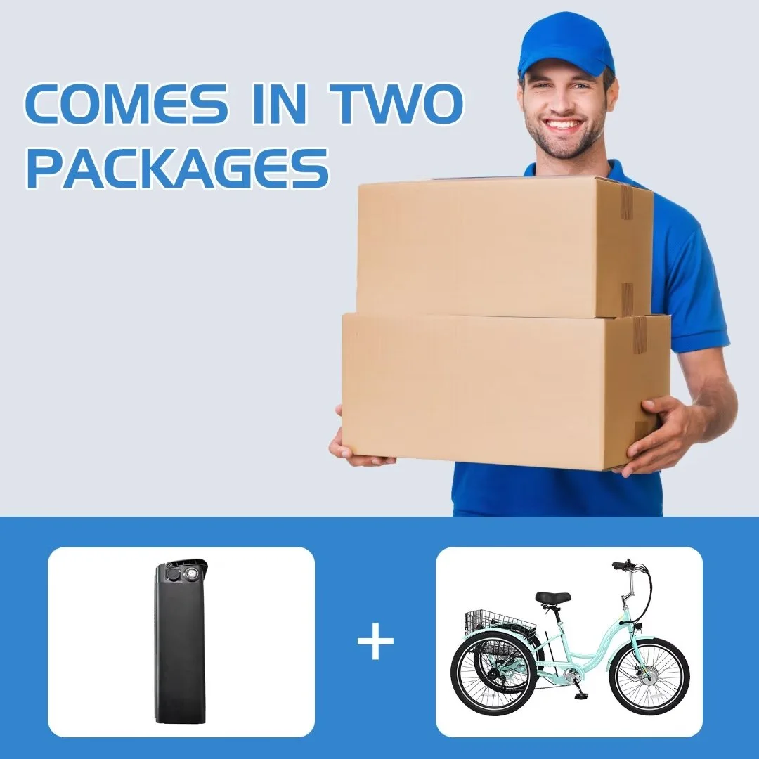 NAIZEA 24 3 Wheel Electric Bike for Senior, 350w Adults Electric Trike, Three Wheel Ebike Bicycle with Removable 36V 10Ah Lithium Battery
