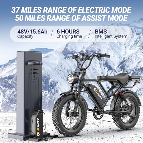 Fat Tire Electric Dirt Bike 750w for Adults 20" Full Suspension Electric Motorcycle Ebikes 48V 15.6AH Removable Battery,31MPH Top Speed