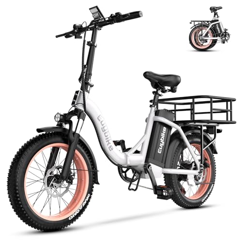 Folding Electric Bike for Adults with Peak 1000W Motor, 48V 20AH Battery up to 30MPH 80 Miles, 20" Fat Tire All Terrain Ebike