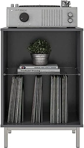 Contemporary Turntable Stand In Graphite Gray