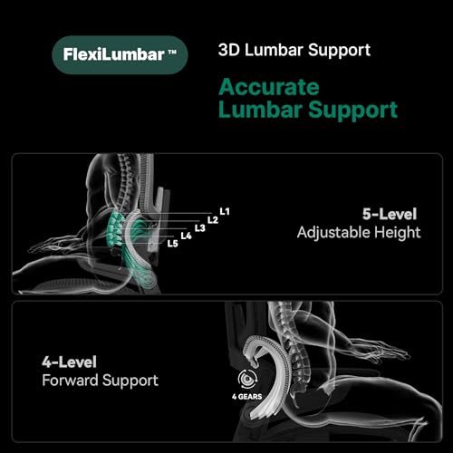 HINOMI H1 Pro V2 Ergonomic Office Chair with Footrest - Home Office Desk Chair with Lumbar Support, Mesh Office Chair with Headrest