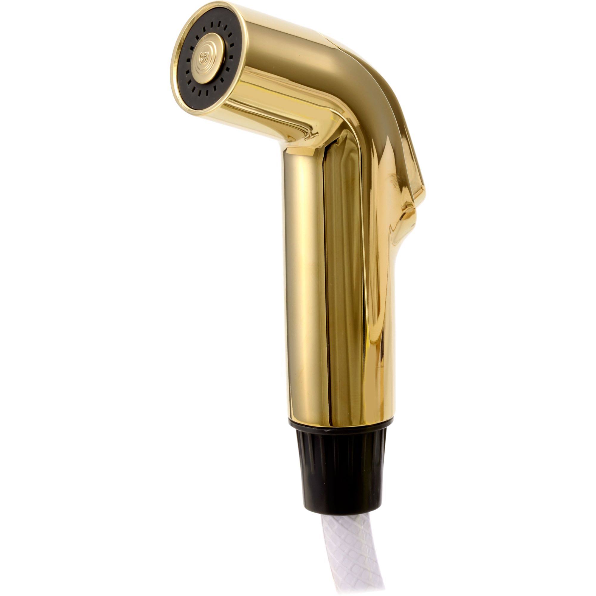Delta RP39345PB Spray and Hose ASSEMBLY, Polished Brass