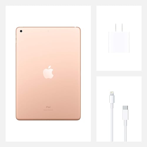 Apple iPad (10.2-inch, Wi-Fi, 128GB, 8th Generation)- Space Gray (Renewed)