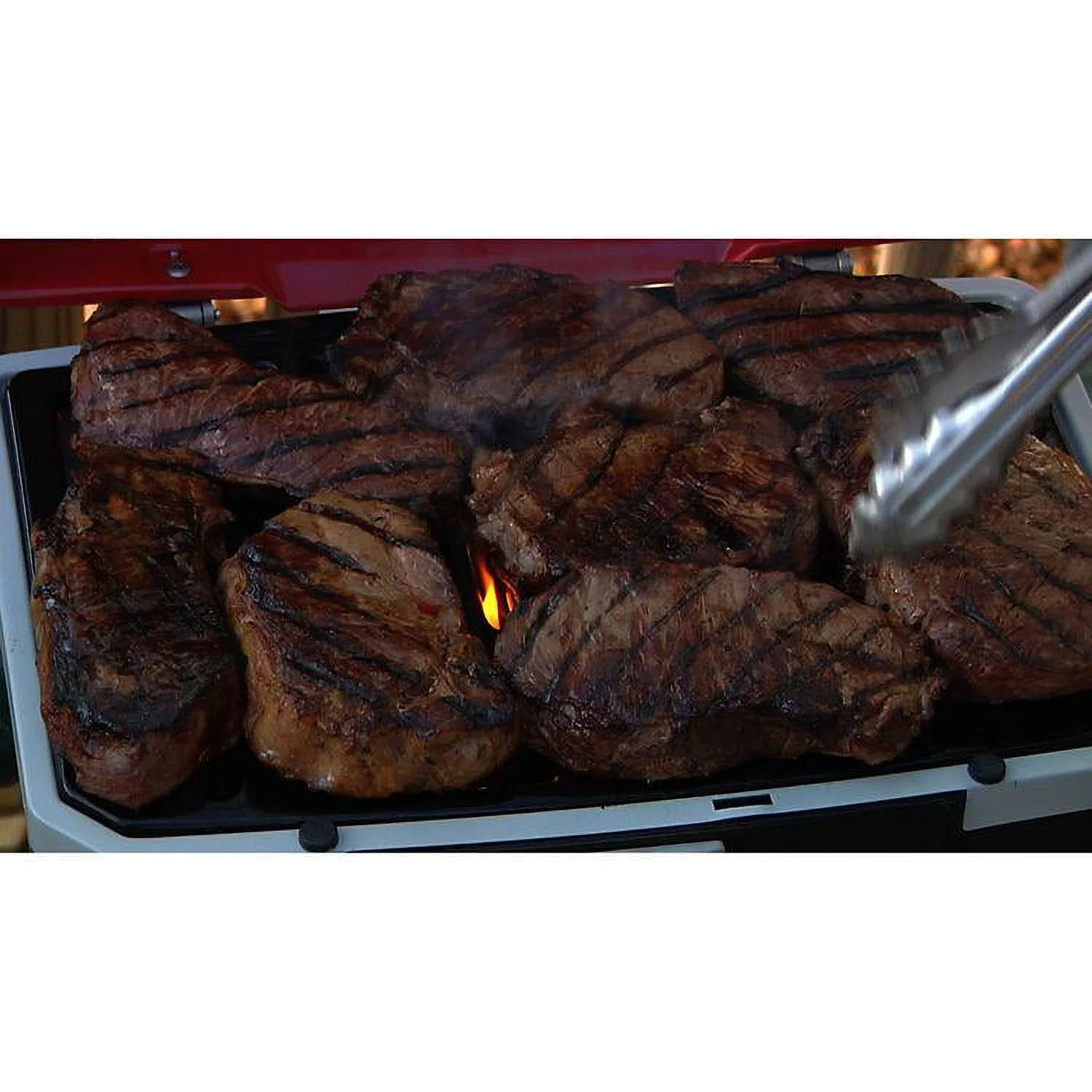 Cuisinart Petit Gourmet Portable Outdoor LP Gas Grill with VersaStand