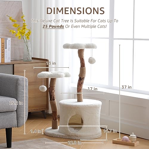 NATURAL EXPRESSIONS Modern Cat Tree and Tower for Indoor, Luxury Solid Wood Condo for Large Cats, Flower Cat Tree with Scratching Post