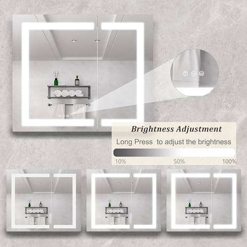 Medicine Cabinet with LED Vanity Mirror, Anti-Fog, Dimmable, Recessed or Surface Mount