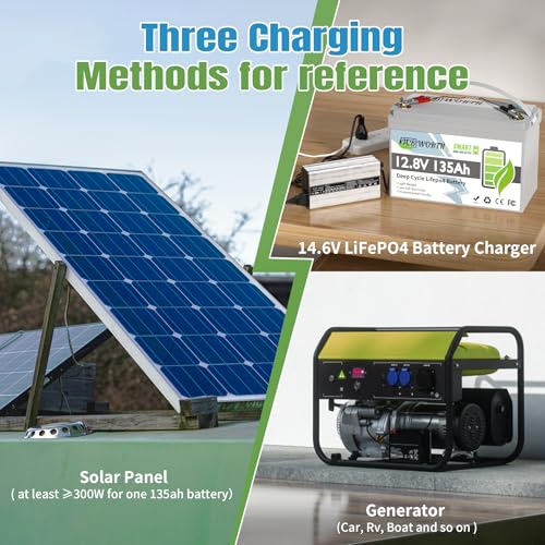 12V 100Ah LiFePO4 Battery, Rechargeabel Deep Cycle Lithium Batteries, 100A BMS with Low-Temp Protection, Perfect for RV, Solar, Boat, Marine