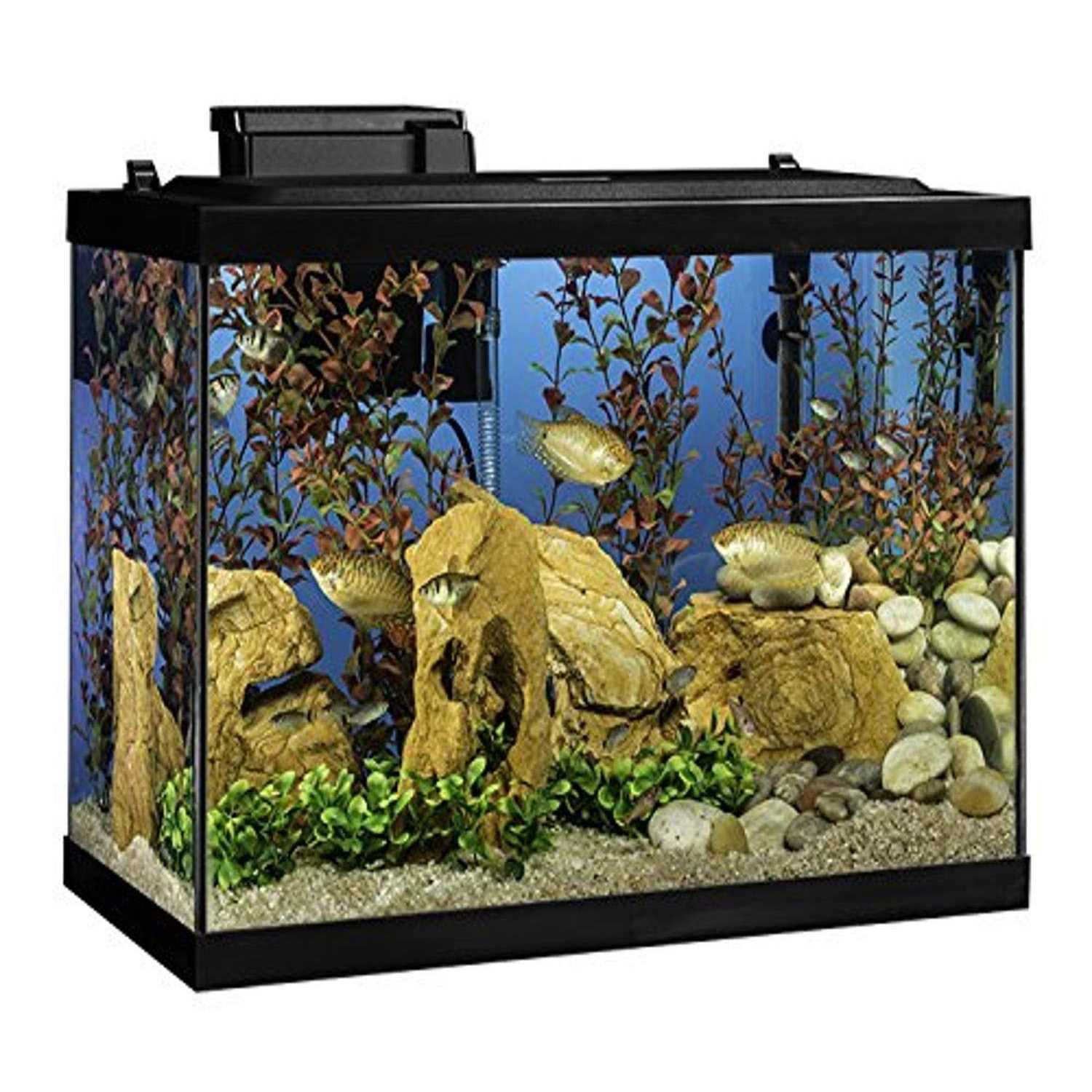 Tetra NV33821 Aquarium 20 Gallon Fish Tank Kit - Pet Supplies online store