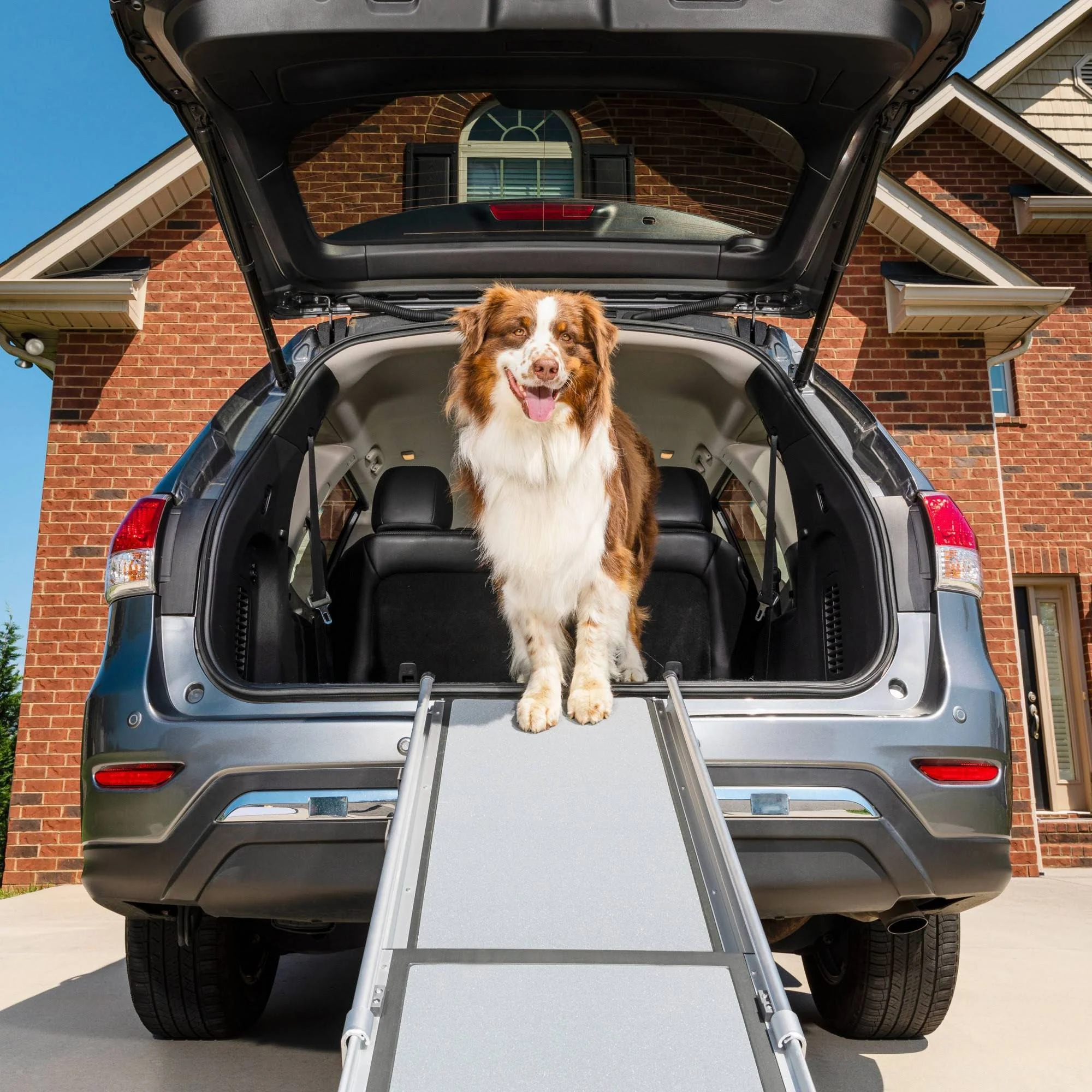 Solvit Deluxe Telescoping Pet Ramp Regular